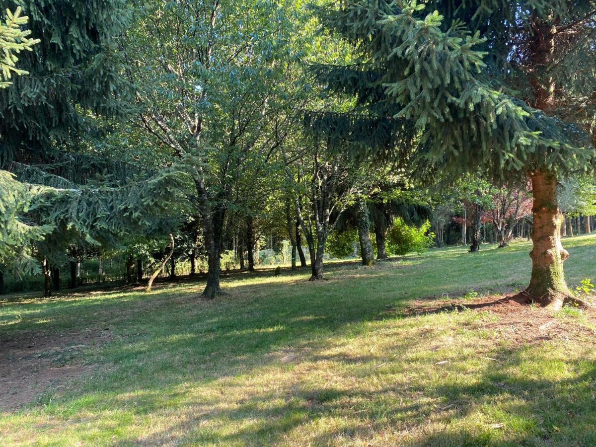 O Casal Das Arbores Santiago de Compostela Exterior foto